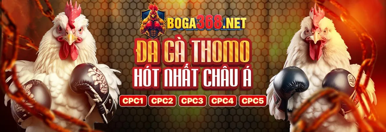 Đá Gà Trực Tuyến MCW777